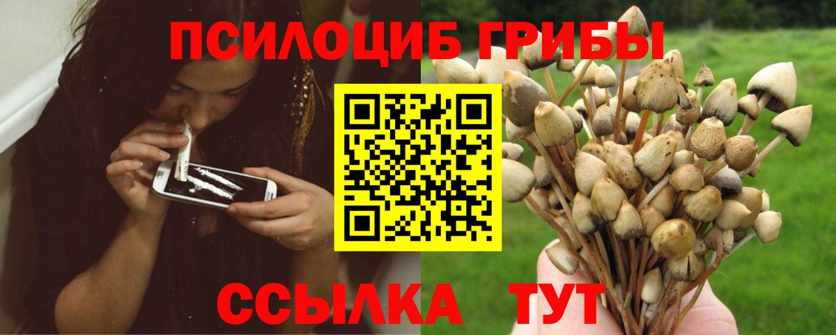 Псилоцибиновые грибы GOLDEN TEACHER  Вход с VPN  Новошахтинск  Галлюциногенные грибы Magic Shrooms 